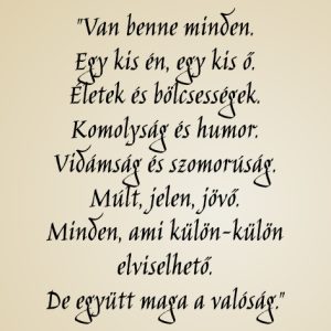 Cozy boros hát címke