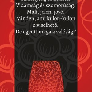 Dragon boros hát címke