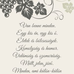 Rainy boros hát címke
