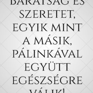 Szöveges Reunion pálinkás hát címke